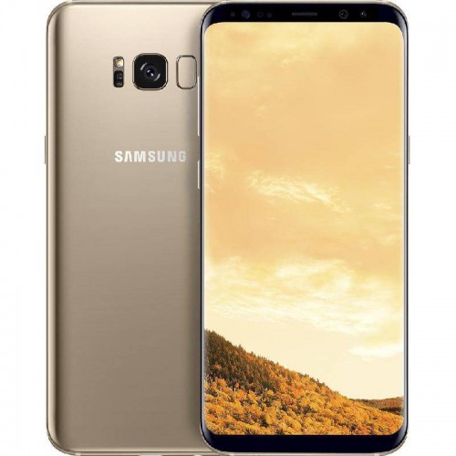 Samsung Galaxy S8+ Factory Reset / Format Atma